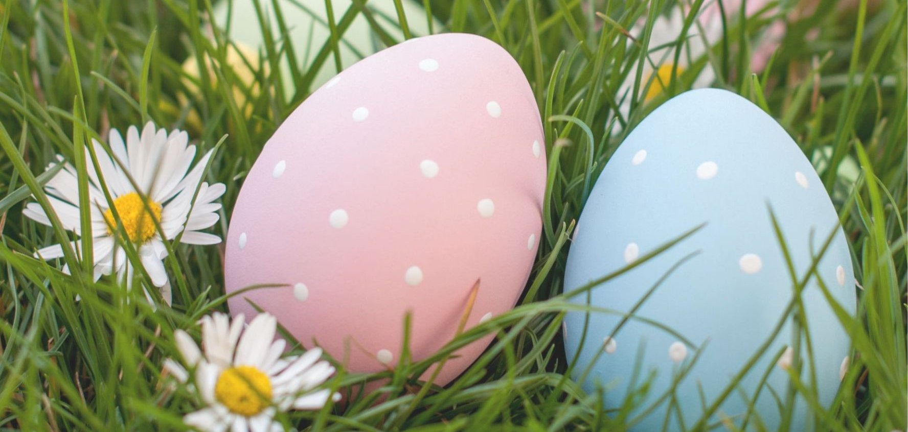 Titelbilder Mitteilungsblatt - Neue Version - 58