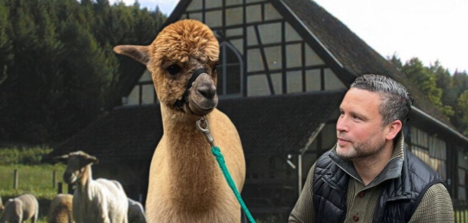 Instagram/Facebook Post - 53